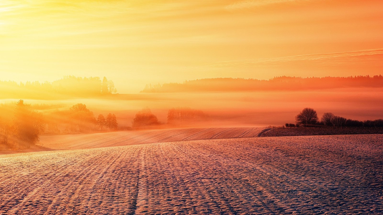 jplenio-snow-3404534_1920.jpg